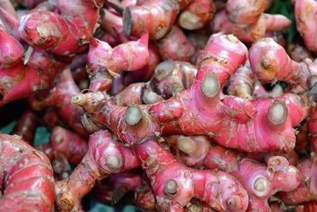 Củ riềng: Gia vị giúp bảo vệ hệ tiêu hóa khi ăn đồ sống, lạnh